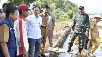 Dirjen Tanaman Pangan Tinjau Percepatan LTT di Ponorogo, Pastikan Program Ketahanan Pangan Berjalan Optimal