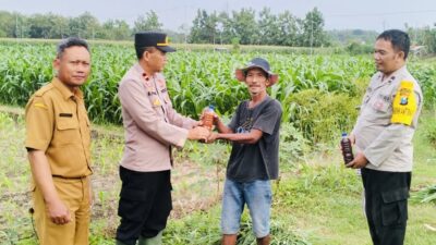 Petani di Sukorejo Terima Bantuan Pupuk Cair Organik untuk Dukung Produksi Jagung