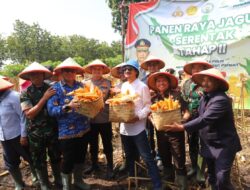 Panen Raya Jagung 161 Hektare, Forkopimda Magetan Tegaskan Dukung Ketahanan Pangan Nasional