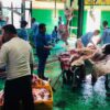 Lebih dari 100 Sapi Kurban Siap Dipotong di RPH Carat Magetan, Termasuk Kiriman Presiden