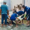 Rutan Magetan Sembelih 10 Kambing Qurban, Daging Dibagikan dan Dimasak Bersama WBP