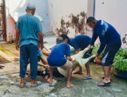 Rutan Magetan Sembelih 10 Kambing Qurban, Daging Dibagikan dan Dimasak Bersama WBP