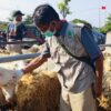 Jelang Idul Adha, Disnakkan Magetan Keliling Pasar Pastikan Hewan Kurban Sehat dan Cukup Umur