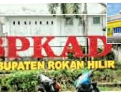 ASN Rohil Disorot, Pengawas Menjalankan Fungsi Pengelolaan Keuangan