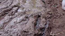 JALAN TPA MILANGASRI BERBECEK BERLUMPUR, KENDARAAN PENGANGKUT SAMPAH DESA-DESA TERPAKSA BERJIBAKU – LSM MINTA PEMKAB TURUN TANGAN, WABUP DAN ANGGOTA DPRD TINJAU TKP