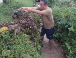 Aksi Wabup Magetan Turun ke Selokan Bersihkan Sampah