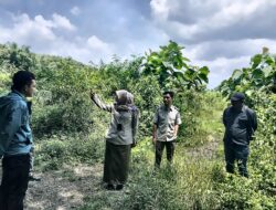 Kantor Pertanahan Kabupaten Madiun Melalui Tim Panitia A Laksanakan Pemeriksaan Tanah di Desa Pilangrejo