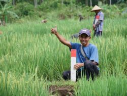 Hindari Konflik Antar Tetangga dengan Menjaga Kejelasan Batas Tanah