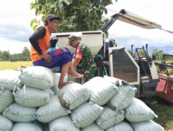 Babinsa Kodim Ponorogo Turun Tangan Bantu Petani Percepat Angkut Hasil Panen