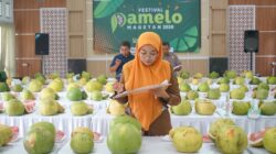 Festival Pamelo 2026 Jadi Ajang Pemkab Magetan Cari Bibit Unggulan