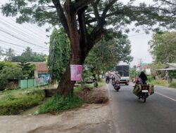 Banner Pink di Sepanjang Jalan Jenderal Sudirman Pajaresuk Dinilai Rusak Keindahan Kota dan Lingkungan