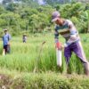 Pasang Patok, Langkah Sederhana Cegah Sengketa Batas Tanah