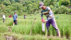 Pasang Patok, Langkah Sederhana Cegah Sengketa Batas Tanah
