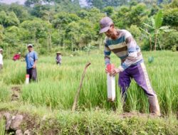 Pasang Patok, Langkah Sederhana Cegah Sengketa Batas Tanah