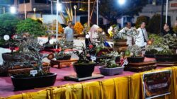 Ratusan Bonsai Unggulan Nusantara Hiasi Grebeg Suro Ponorogo