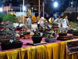 Ratusan Bonsai Unggulan Nusantara Hiasi Grebeg Suro Ponorogo