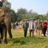 Pemerintah Percepat Solusi Permanen Konflik Manusia dan Gajah di Way Kambas