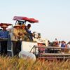 Gunakan Combine Harvester, Pangdam XXI/Radin Inten Panen Padi Bersama Petani di Lampung Tengah