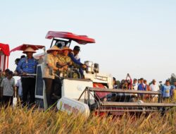 Gunakan Combine Harvester, Pangdam XXI/Radin Inten Panen Padi Bersama Petani di Lampung Tengah