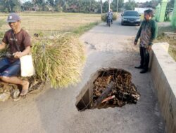 Tiga Tahun Menanti, Warga Pringsewu Desak Pemda Tepati Janji Perbaiki Jembatan Jebol