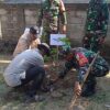 TMMD 129 Bulu Lor Tanam 100 Bibit Alpukat, Dukung Penghijauan dan Ekonomi Warga