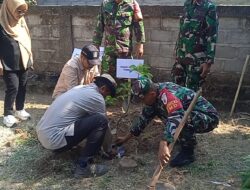 TMMD 129 Bulu Lor Tanam 100 Bibit Alpukat, Dukung Penghijauan dan Ekonomi Warga