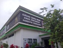 PPL Pertanian Pringsewu Didesak Ditindak Usai Tinggalkan Tugas di Jam Dinas demi Hajatan
