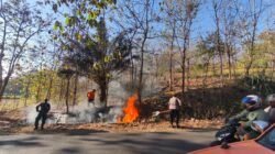 Sinergi TNI-Polri dan Warga Padamkan Karhutla di Ponorogo