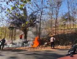 Sinergi TNI-Polri dan Warga Padamkan Karhutla di Ponorogo