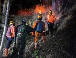 Babinsa dan Warga Padamkan Kebakaran Hutan di Dua Desa Ponorogo