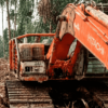 Excavator Diduga Siap Buka 200 Ha Hutan Rakyat di Labuhan Tangga Kecil, Warga Rohil Desak Aparat Turun