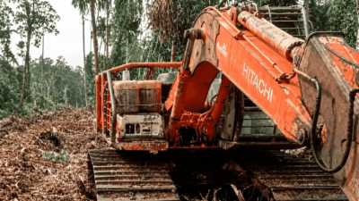 Excavator Diduga Siap Buka 200 Ha Hutan Rakyat di Labuhan Tangga Kecil, Warga Rohil Desak Aparat Turun