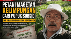 Petani Magetan Butuh Pupuk Sekarang, Subsidi MT 3 Baru Turun September