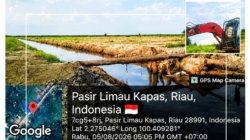 LSM dan Publik Rohil Desak Polhut Riau Usut Dugaan Kejahatan Ekosistem di Sungai Daun