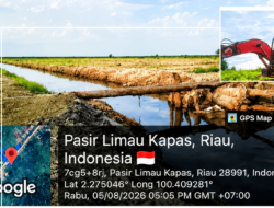 LSM dan Publik Rohil Desak Polhut Riau Usut Dugaan Kejahatan Ekosistem di Sungai Daun