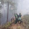 Tim Gabungan Kodim Ponorogo Kebut Pemadaman Karhutla di Hutan Pinus Ngrayun