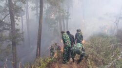 Tim Gabungan Kodim Ponorogo Kebut Pemadaman Karhutla di Hutan Pinus Ngrayun