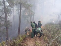Tim Gabungan Kodim Ponorogo Kebut Pemadaman Karhutla di Hutan Pinus Ngrayun