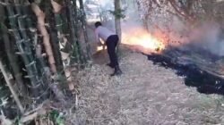 Rumpun Bambu Belakang TK di Sukorejo Ponorogo Ludes Terbakar