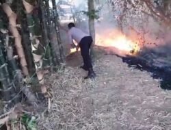 Rumpun Bambu Belakang TK di Sukorejo Ponorogo Ludes Terbakar