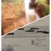 Diduga Tak Bayar Sewa Excavator Mini, Pemilik di Kampar Rugi Rp27,5 Juta dan Laporkan Penyewa ke Polres