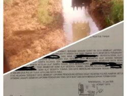 Diduga Tak Bayar Sewa Excavator Mini, Pemilik di Kampar Rugi Rp27,5 Juta dan Laporkan Penyewa ke Polres