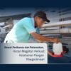 Kembangkan Budidaya Lele dan Ayam Kuntara, Rutan Magetan Bekali Warga Binaan Kemandirian Pangan