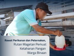 Kembangkan Budidaya Lele dan Ayam Kuntara, Rutan Magetan Bekali Warga Binaan Kemandirian Pangan