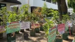 Bukan Sekadar Bunga Sesaat, Ucapan Penghormatan Berubah Jadi Hijaunya Magetan dan Manfaat Panjang
