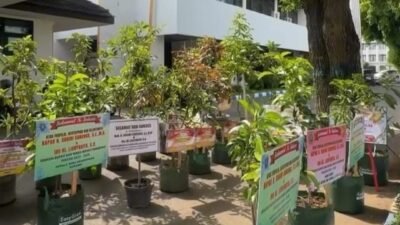 Bukan Sekadar Bunga Sesaat, Ucapan Penghormatan Berubah Jadi Hijaunya Magetan dan Manfaat Panjang