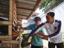 Rutan Magetan Tingkatkan Ketahanan Pangan melalui Sektor Perikanan dan Peternakan