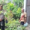 Dukung Ketahanan Pangan, Kapolsek Sukorejo Iptu Agus Tri Cahyo Wiyono Terjun Langsung Bagikan Bibit Alpukat ke Warga