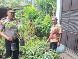 Dukung Ketahanan Pangan, Kapolsek Sukorejo Iptu Agus Tri Cahyo Wiyono Terjun Langsung Bagikan Bibit Alpukat ke Warga